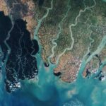 Satellite-Based Assessment of Flood-Driven Built Environment Change and Recovery